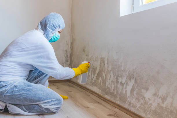 Crawl Space Mold Remediation treatment of floor joists in Boston